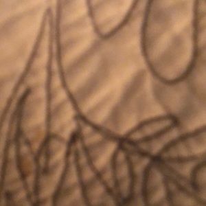 Meet your Posher, Sam